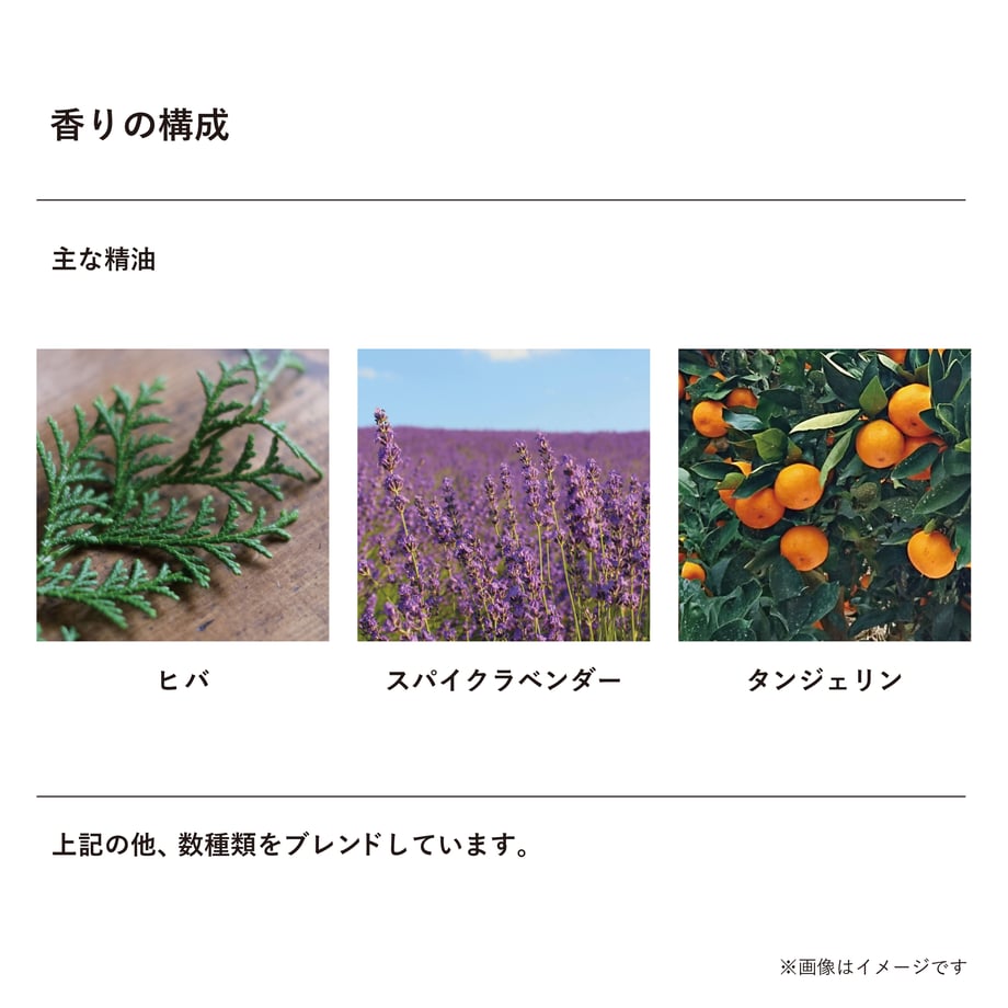 6498ee3bf0a6af002e524547