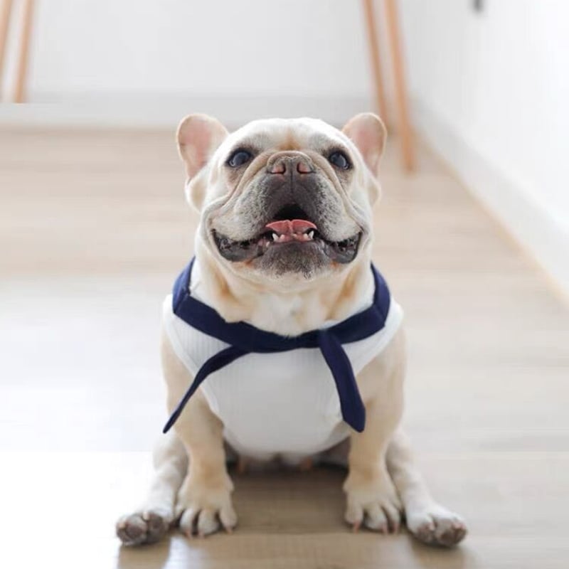 犬 服 フレブル タンクトップ セーラー服フレンチブルドッグ 犬服