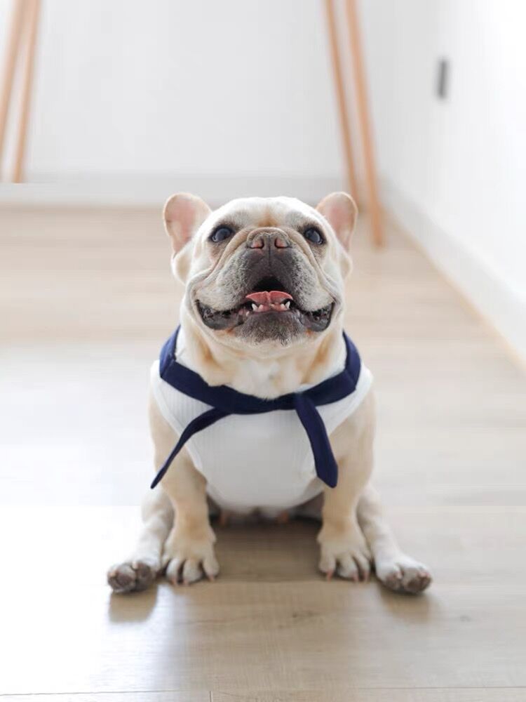 犬 服 フレブル タンクトップ セーラー服フレンチブルドッグ 犬服
