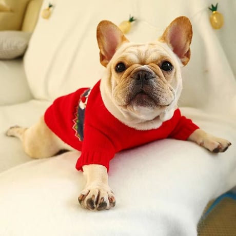 犬 服 フレブル サンタ クリスマス仮装 クリスマスコスプレ セーター