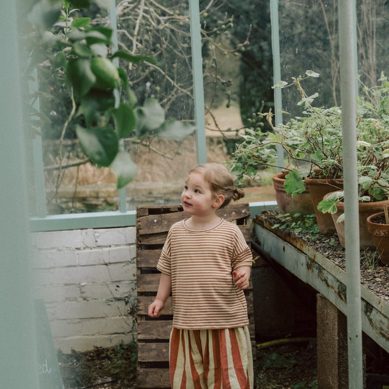Tomato Stripes Resort Pants / organic zoo | ner