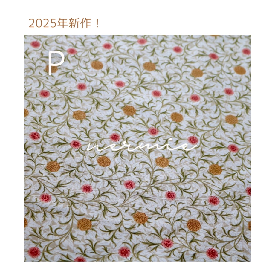 67df5a590b01f56e6d34db96