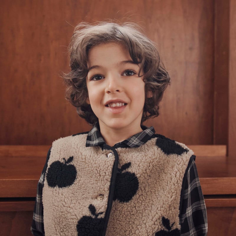 Grey apple sherpa sleeveless jacket / Emile et