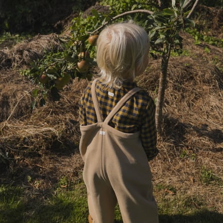 Blueberry Gingham Shirt / organic zoo