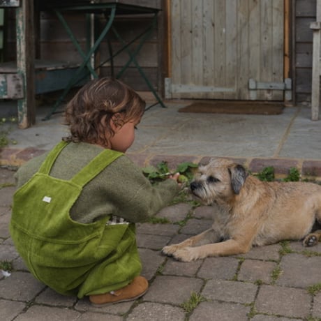 Peapod Farmer Dungarees/ organic zoo