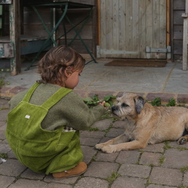 Peapod Farmer Dungarees/ organic zoo | nermie -