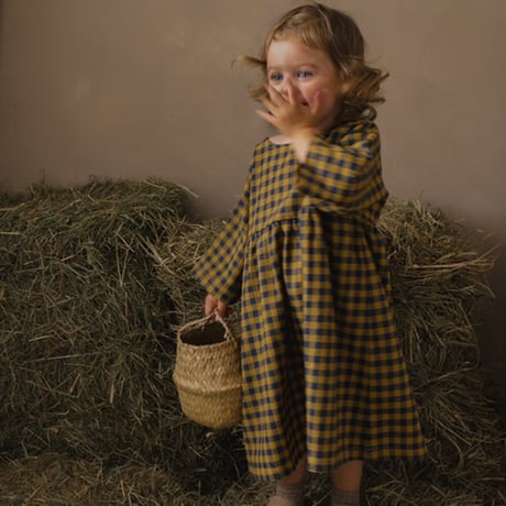 Blueberry Gingham Gather Dress / organic zoo