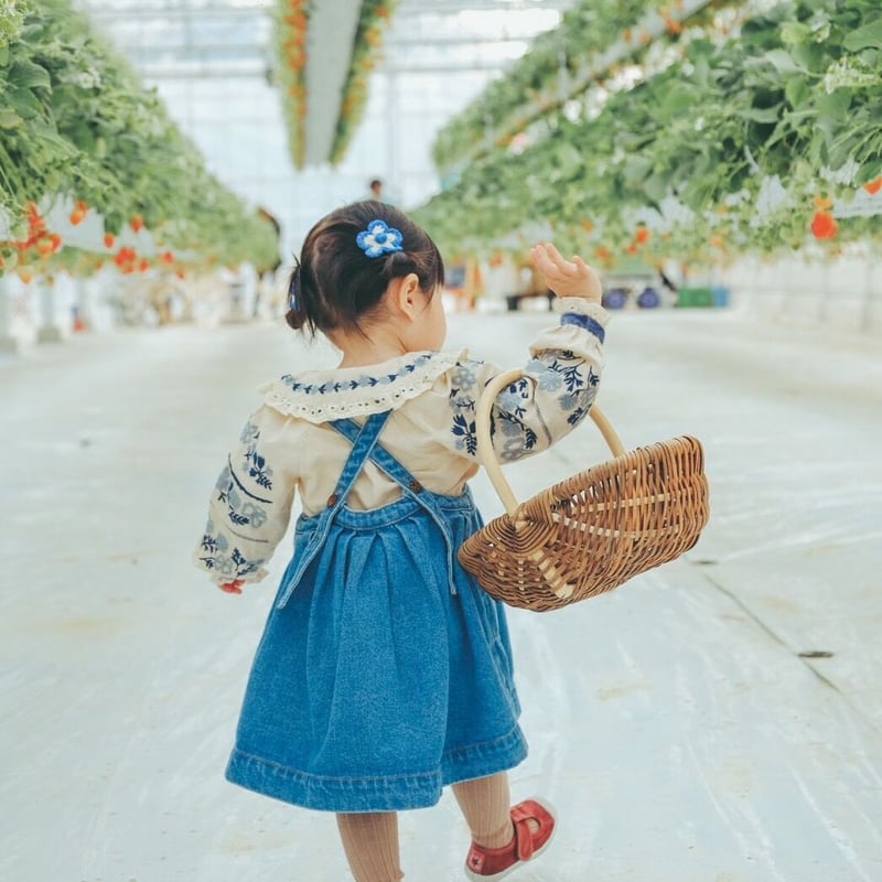 The Oversized Denim Pinafore /The Simple Folk |