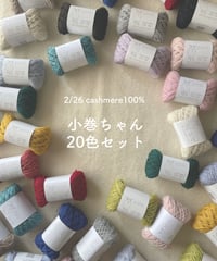 10ｇ小巻ちゃん20色セット｜2/26 カシミヤ100％