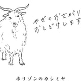 ホリゾンのカシミヤ|カシミヤ工業糸手編み・カシミヤ毛糸・ドールニットやミニチュアニット毛糸の手芸店