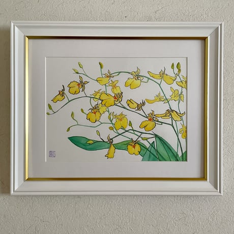 オンシジューム | STORES