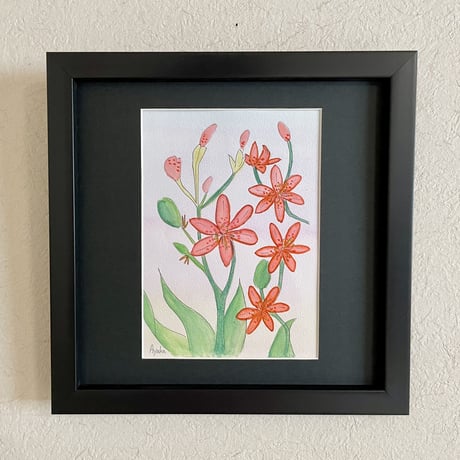 彩華の花の絵