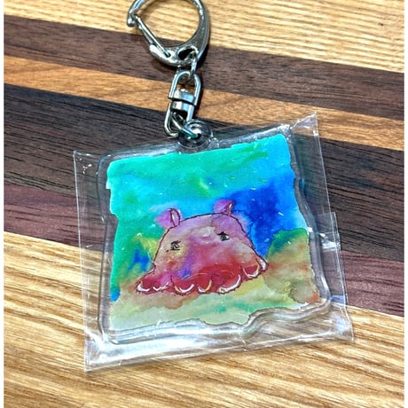 メンダコ | STORES