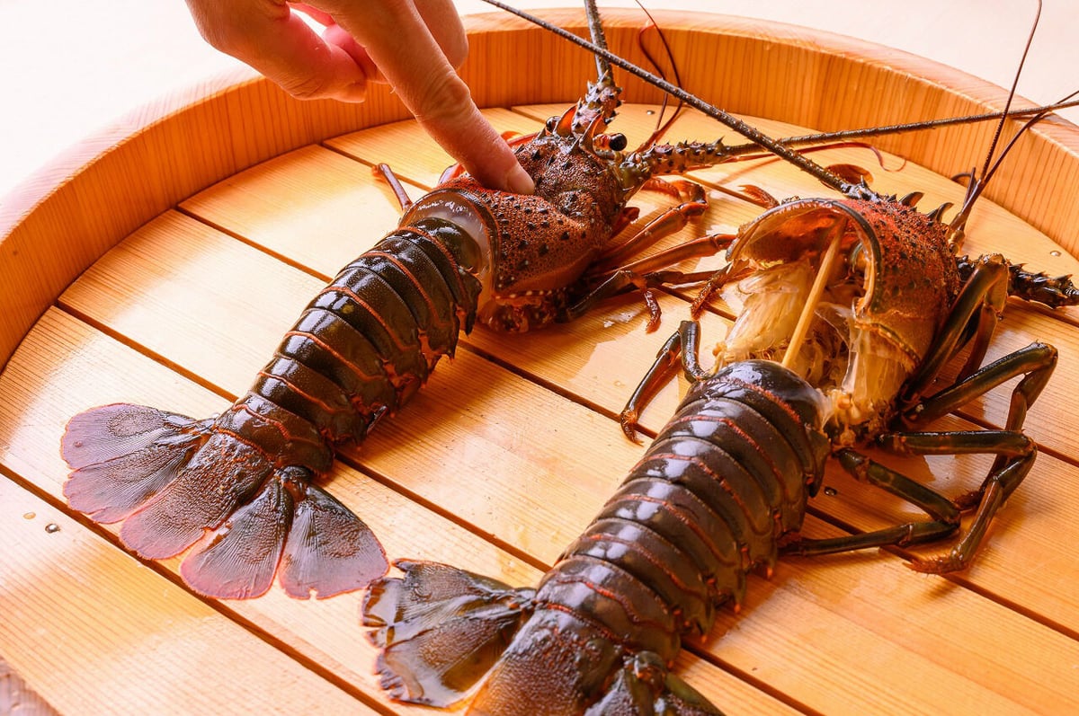 備前焼、宝瓶、摘み伊勢海老 幻の脱皮伊勢海老バター焼き 冷凍 | 倭庵黒石オンラインショップ