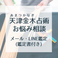 占いカウンセリング 60分 フラーレンヒーリング付き 天津金木占術・お悩み相談【オンライン鑑定】 | ヒーリングサロンDelphi
