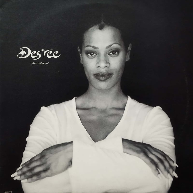 定番R&B！Des'ree / I Ain't Movin' / LPレコード 12】Des'ree / I Ain't Movin | MeraMera Records