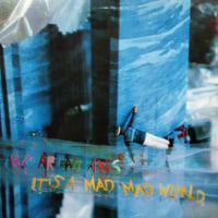 【LP】 The Arcadians / It's A Mad Mad World