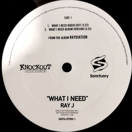 【12】 Ray J / What I Need