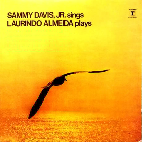 laurindoalmeida | STORES