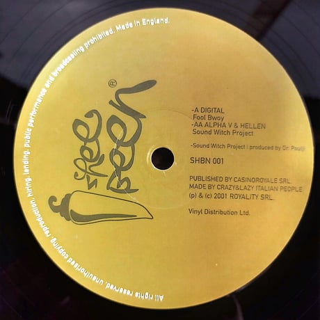 【12】Digital / Alpha V & Hellen – Fool Bwoy / Sound Witch Project