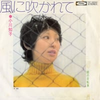 LP】Gary Benson / Moonlight Walking | MeraMera