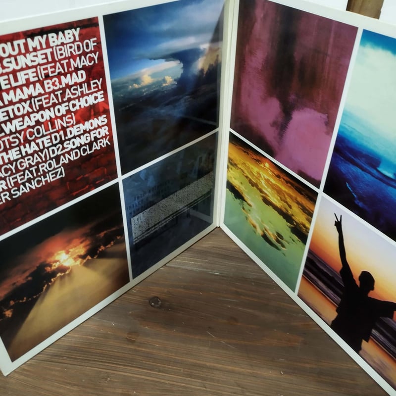 LP】Fatboy Slim / Halfway Between The Gutter An