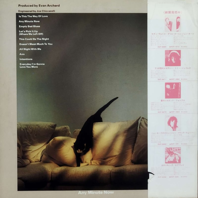 LP】Chris Montan / Any Minute Now | MeraMera Re
