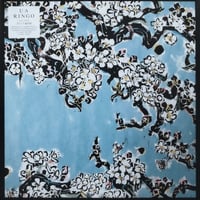 【12】 UA / Ringo