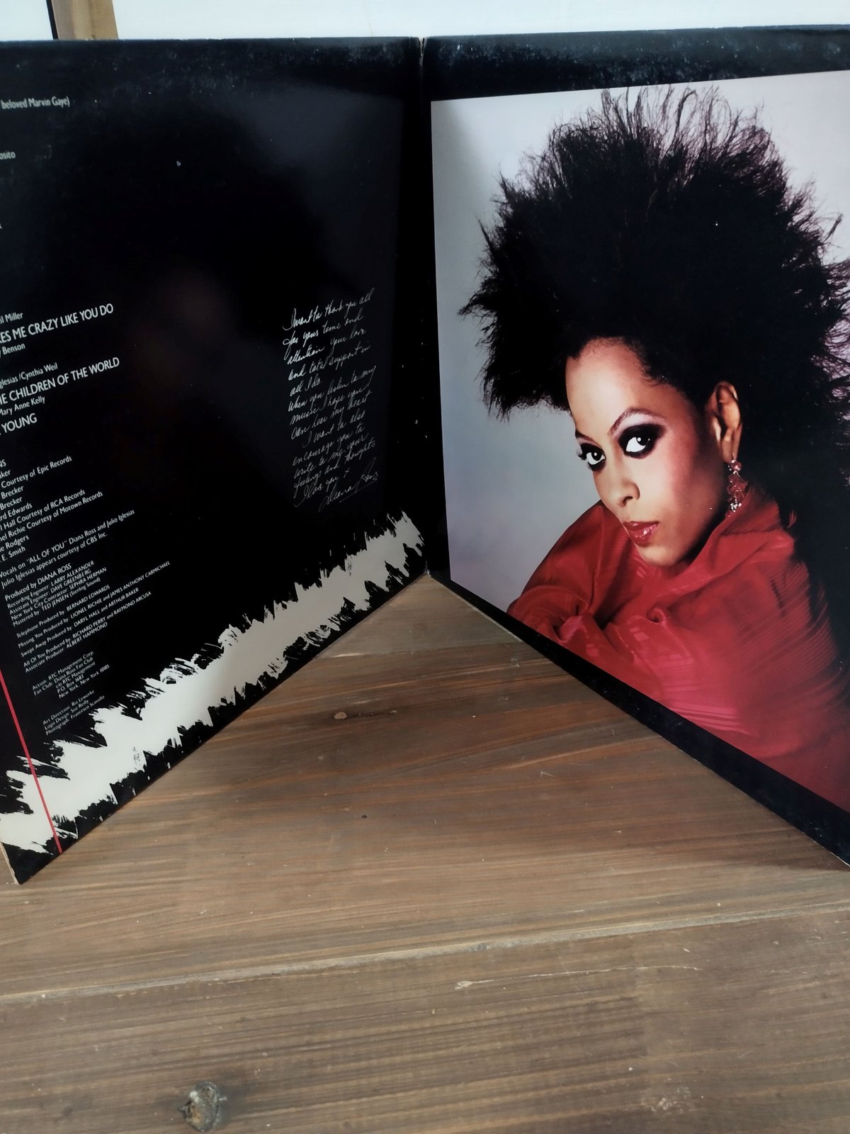 LP】Dianna Ross / Swept Away | MeraMera Records