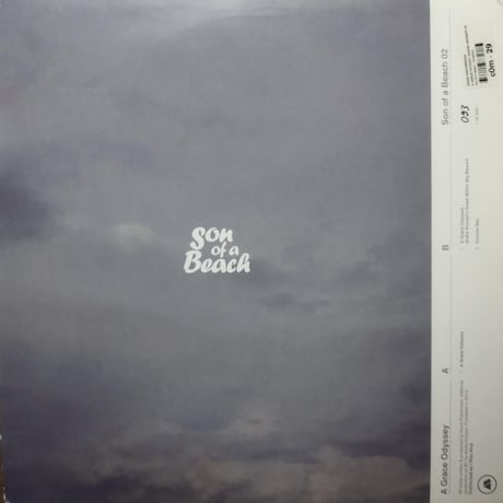 【12】 David Pasternack / A Grace Odyssey