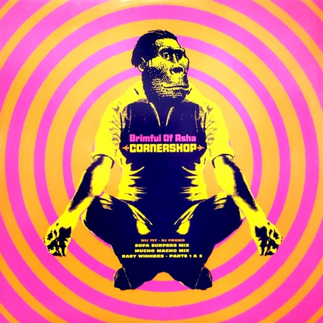 【12】Corner Shop / Brimful Of Asha Remix