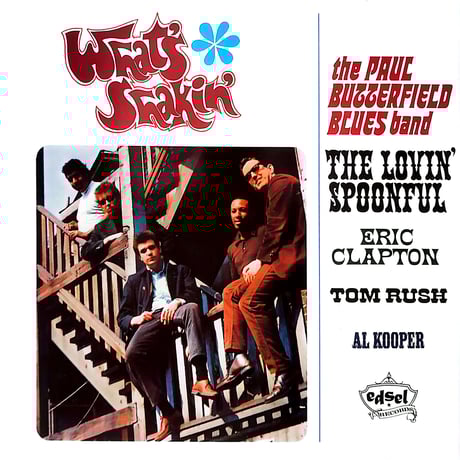 Dickies ネイビー カバーオール XL エリッククラプトン　来日 Dickies ネイビー カバーオール XL エリッククラプトン 来日 【公式通販】