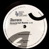 【超美品】Cocco　ブーゲンビリア レコード COCCO / ブーゲンビリア – TICRO MARKET