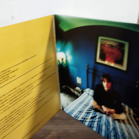 【LP】 Paul Weller / Stanley Road