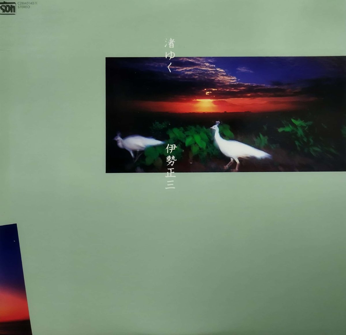 LP】伊勢正三 / 渚ゆく | MeraMera Records