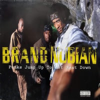 【12】 Brand Nubian / Punks Jump Up To Get Beat Down