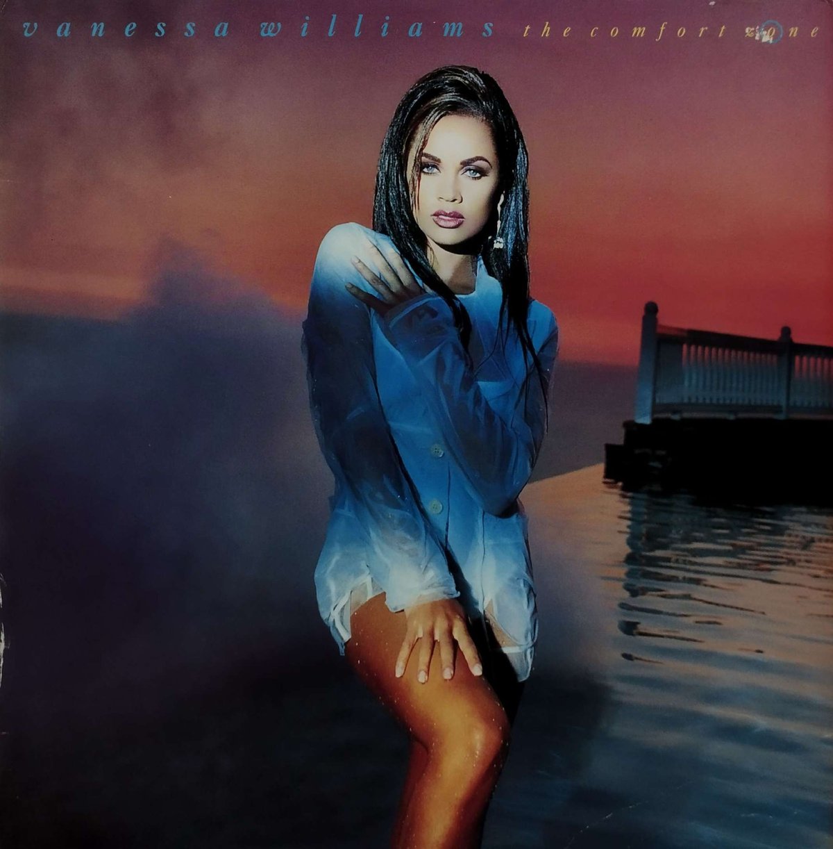 LP】Vanessa Williams / The Comfrt Zone | MeraMe