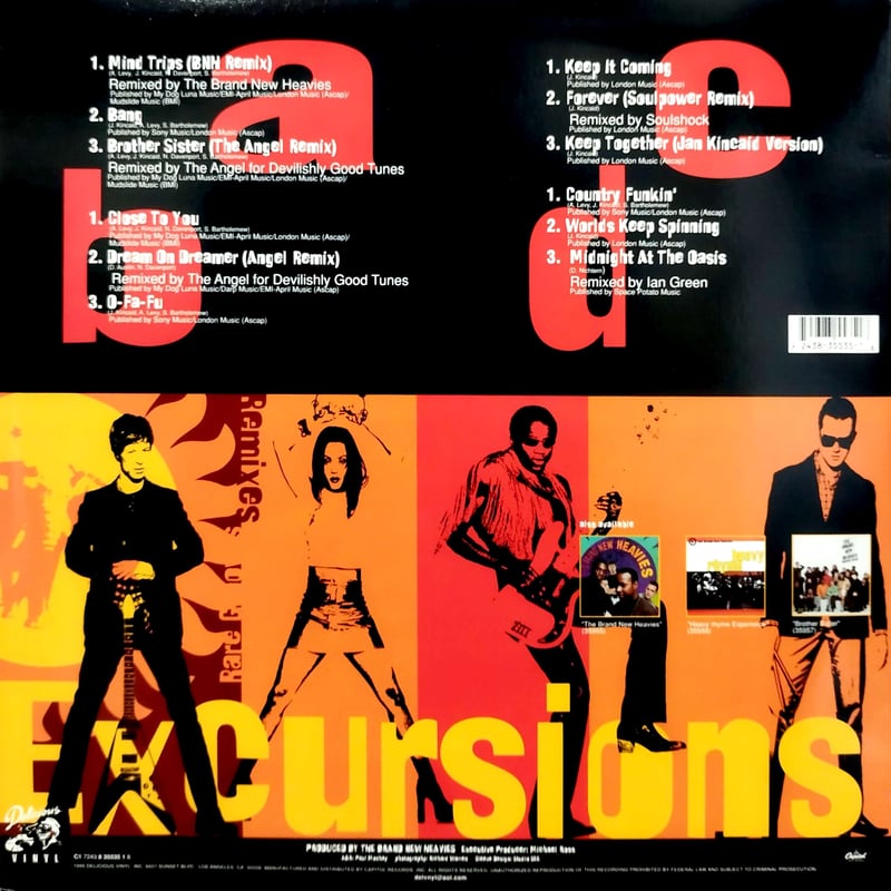 LP】 The Brand New Heavies / Excursions Remix &