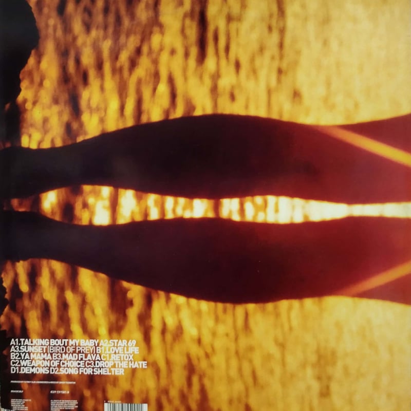 LP】Fatboy Slim / Halfway Between The Gutter An