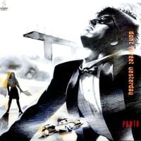 未使用 Diane Schuur - Pure Schuur / レコード LP】Diane Schuur / Deedles | MeraMera Records
