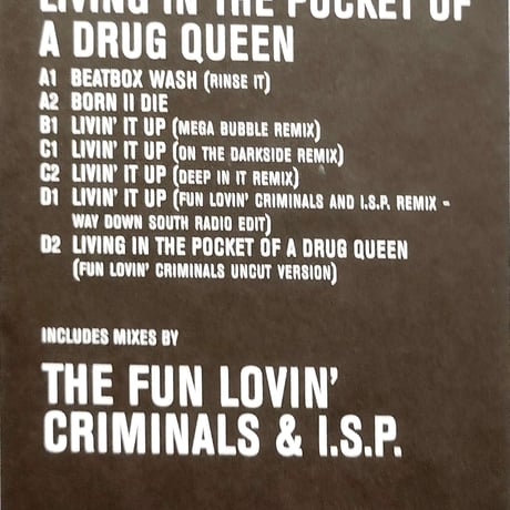 【12】 Dust Junkys  / Living In The Pocket Of Drug Queen