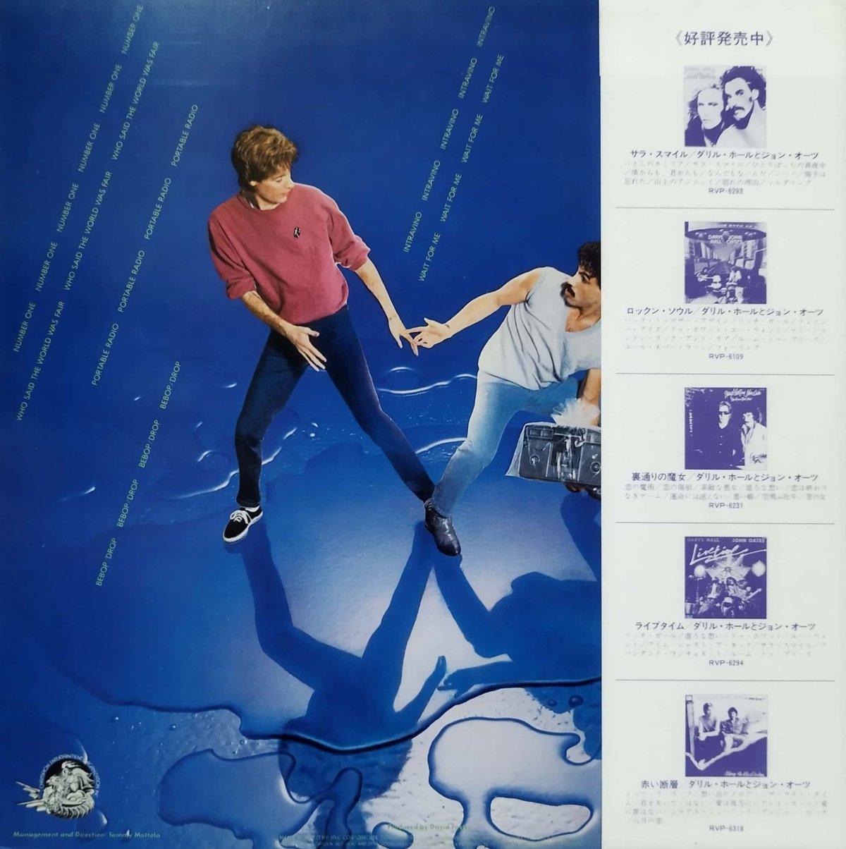 Daryl hall and john oates LP 10枚　ダリルホール ダリル・ホールとジョン・オーツ DARYL HALL AND JOHN OATES