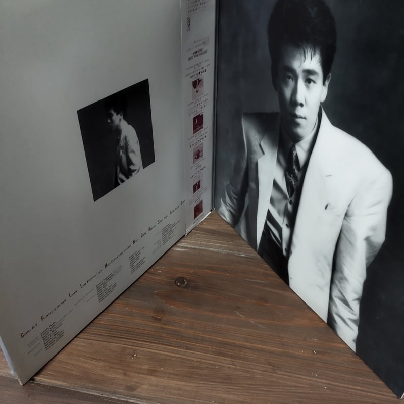 LP】池田聡 / Joy & Pain | MeraMera Records