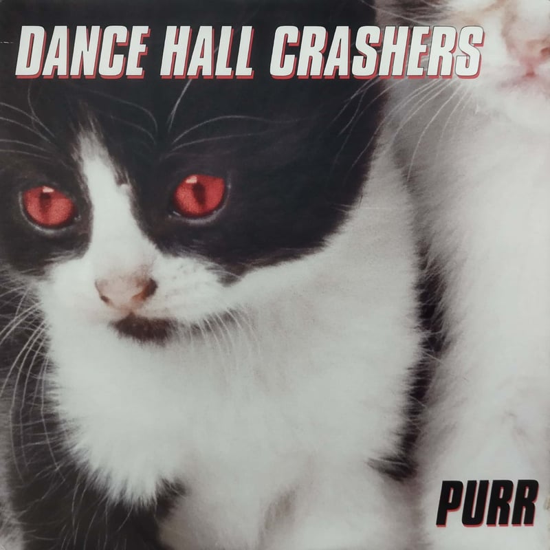 洋楽 Dance Hall Crashers The Live Record Amazon.co.jp: Dance Hall Crashers - The Live Record LP