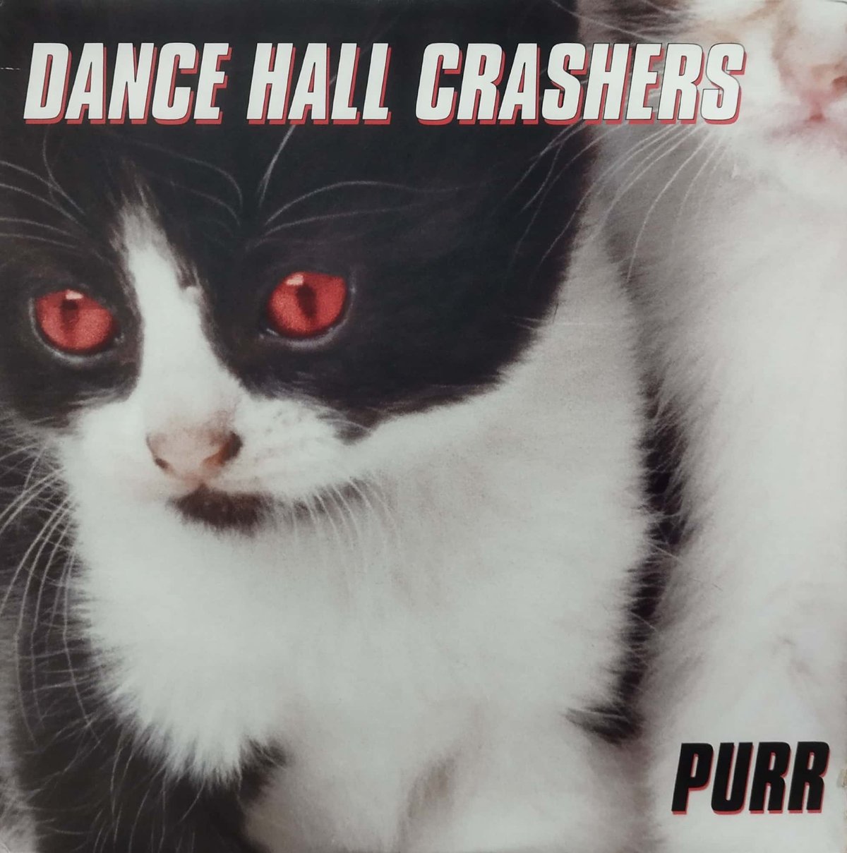 DANCE HALL CRASHERS / PURR (LP) +オマケ LP】Dance Hall Crashers / Purr | MeraMera Records