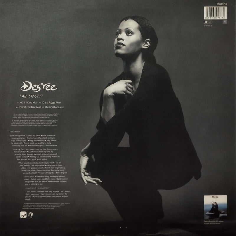 定番R&B！Des'ree / I Ain't Movin' / LPレコード 【公式通販】