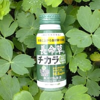 長命草のチカラ（24本入り）1箱