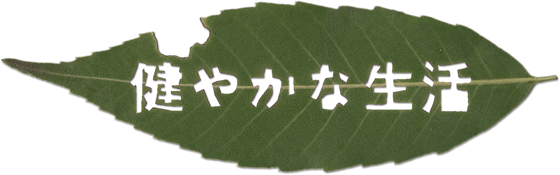 健やかな生活