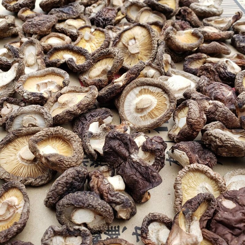B品干し椎茸500g | 駒形農産のお買い物サイト B品干し椎茸500g | 駒形農産のお買い物サイト