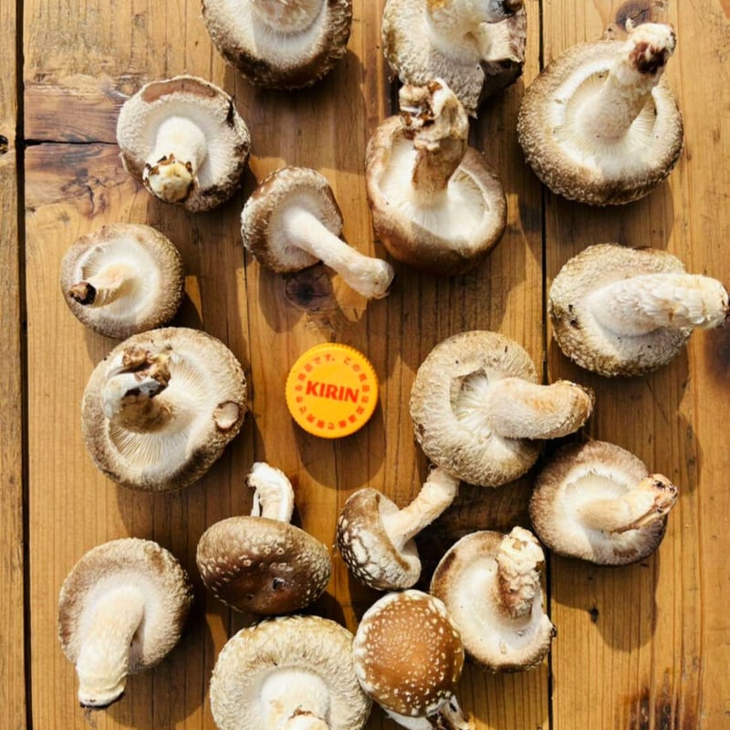 クール便！！当日収穫発送＞小～大ｻｲｽﾞまで！訳あり～開きすぎたなど